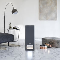 バルミューダ ザ・ピュア A01A-GR 1台