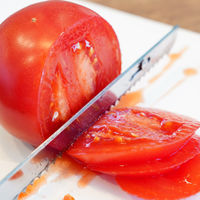 サンコー 断面が美しいコードレス電動包丁「エレクトリックナイフ Slim」 TKELRCTR 1台