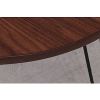 不二貿易 ローテーブル 丸 幅600×奥行600×高さ315mm ブラウン 10858 1台（直送品）