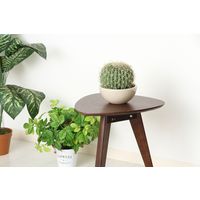 不二貿易 コーヒーテーブル（小） 小 幅395×奥行395×高さ445mm ブラウン 31392 1台（直送品）