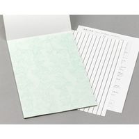 デザインフィル 便箋 透かし和紙 B5サイズ 18枚入 グリーンリーフ柄 20485006 1セット(2冊)