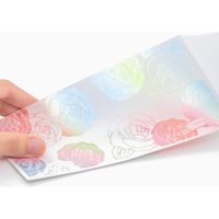 デザインフィル 金封 結婚祝 華色透かし バラ柄 1枚入(中袋付) 25486006 1セット(2個)