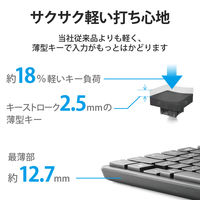 ワイヤレスキーボード マウスセット 無線 フルサイズ 薄型 抗菌 メンブレン ブラック TK-FDM110MKBK エレコム 1個（直送品）