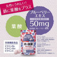 かんでおいしいチュアブルサプリ 鉄+葉酸 1セット（30日分×3） 360粒 オリヒロ サプリメント
