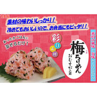 丸美屋 彩り素材おむすびの素 梅ちりめん 3個