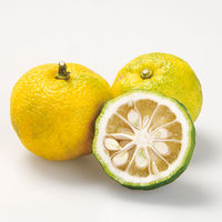 チョーコー醤油 長崎ポンス 200ml 1本