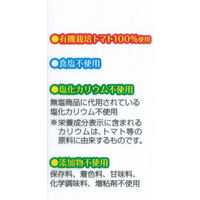 ハグルマ 有機栽培トマト使用 食塩不使用 ヘルシーケチャップ 290g 2本