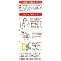 かんてんぱぱ　カップゼリー 80℃　オレンジ味 約6人分×2袋入 1個　ゼリーの素 製菓材料 お菓子作り 手作り