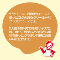 日清製粉ウェルナ マ・マー クッキングソース 生クリームを使ったグラタンソース（160g） ×2個