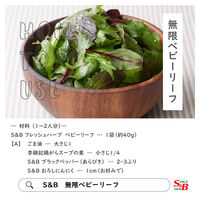 エスビー食品 李錦記 鶏がらスープの素 120（フタ・スプーン付き缶）2個