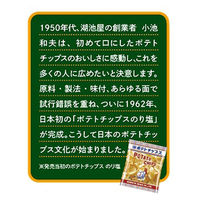 湖池屋 小袋ポテトチップス のり塩 1セット（10袋入）
