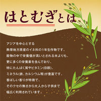 オリヒロ 国産はとむぎ100% 26包 お茶