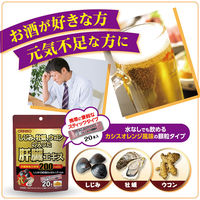 オリヒロ しじみ牡蠣ウコンの入った肝臓エキス顆粒 1セット（20日分×2個） 40本 サプリメント