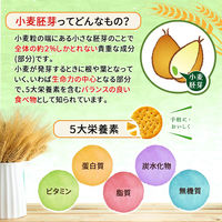 森永製菓 小麦胚芽のクラッカー 2箱　食物繊維　鉄分　ビタミンE