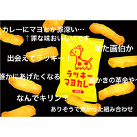 三真 ラッキーマヨカレーおかき 1セット（3袋）