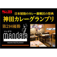 エスビー食品 S＆B 神田カレーグランプリ マンダラ ビーフマサラカレー 1セット（3個）レンジ対応 レトルト