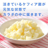 ファイン　活性ケフィア 300粒　1個　サプリメント