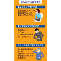 エビオス整腸薬 1個（504錠） アサヒグループ食品 【指定医薬部外品】