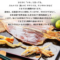 江戸屋 するめそうめん45g 2袋