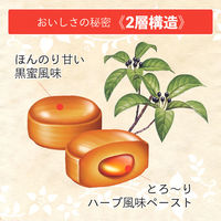 養命酒製造株式会社 養命酒製造クロモジのど飴 1セット（3袋）