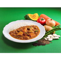 中村屋 新宿中村屋 インドカリー ベジタブル 1セット（2個）