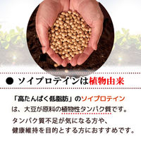 ウイダー おいしい大豆プロテイン コーヒー味 900g 2個 森永製菓 プロテイン