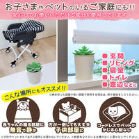 バルサン 虫除け 虫こないもん 置くだけプランツ　(270日)　 無香料 レック　置き型・置くタイプ1セット(3個)