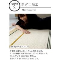 スミノエ アレルブロックラグ ミッドスタイル 1300×1900mm イエロー 1枚（直送品）