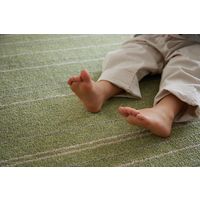 スミノエ HOMERUG Caruruカルル 抗菌・抗ウィルスラグ タイプフォー 1700×2200mm グリーン 1枚（直送品）