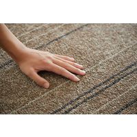 スミノエ HOMERUG Caruruカルル 抗菌・抗ウィルスラグ タイプフォー 2200×2500mm ブラウン 1枚（直送品）