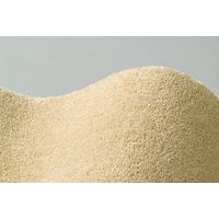 スミノエ BIGSIZZERUG 消臭・防炎マット スミトロンサキソニー 500×800mm ベージュ 1枚（直送品）