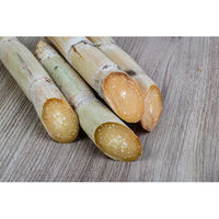 沖縄・奄美のきびオリゴ 350g（フラクトオリゴ糖/国産原料） 1本 ウェルネオシュガー