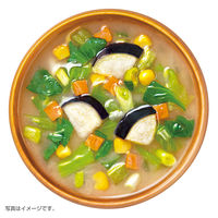 ひかり味噌 VEGE MISO SOUP 野菜と海藻を食べるおみそ汁 6食 5袋