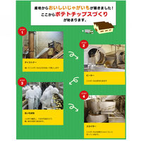 山芳製菓 ポテトチップス 小袋わさビーフ 12袋 スナック菓子