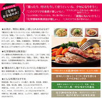 魔法のだし塩 ドラゴンスパイス 57g（万能調味料） 1個