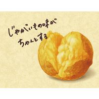 カルビー  Jagabee うすしお味 38g 6袋 スナック菓子 おつまみ　じゃがびー　ジャガビー