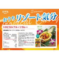 エバラ 横濱舶来亭トロピカルカレーフレーク 180g 1袋