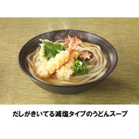 ヒガシマル醤油 減塩うどんスープ 48g（8g×6袋） 1個