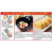 ヒガシマル醤油 減塩うどんスープ 48g（8g×6袋） 1セット（2個入）