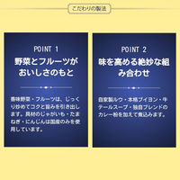 大塚食品 Theボンカレー 1セット（3個）