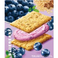 クリーム玄米ブラン ブルーベリー 1セット（6個） アサヒグループ食品 栄養調整食品