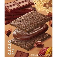 クリーム玄米ブラン カカオ　1セット（6個） アサヒグループ食品 栄養調整食品