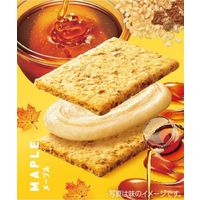 クリーム玄米ブラン メープル 1セット（36個） アサヒグループ食品 栄養調整食品