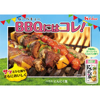 ハウス食品 にんにく塩 230g 5個