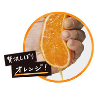 紅茶花伝クラフティー 贅沢しぼりオレンジティー 440ml 1セット（6本）