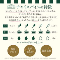 AHMAD TEA（アーマッドティー）チャイスパイス ティーバッグ 1箱（20バッグ入）