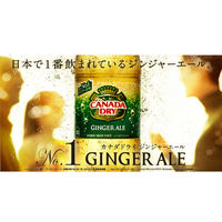 コカ・コーラ カナダドライ プレミアジンジャーエール 380ml 1箱（24本入）