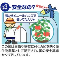 コモライフ バイオでカビよけ君BIGタイプ 67908 1セット(2個)