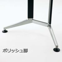 【組立設置込】コクヨ WT-300 ボート形 ポリッシュ脚 配線付き 幅3600×奥行1200×高さ720mm Lナチュラル×ブラック 1台（直送品）