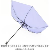 杉本商事55cm 男女兼用ミニ傘 耐風骨 無地 SS5050PK1セット（12本）（直送品）